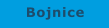 Bojnice