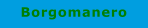 Borgomanero