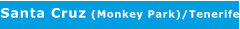 Santa Cruz (Monkey Park)/Tenerife