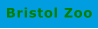 Bristol Zoo