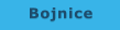Bojnice