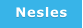 Nesles