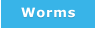 Worms